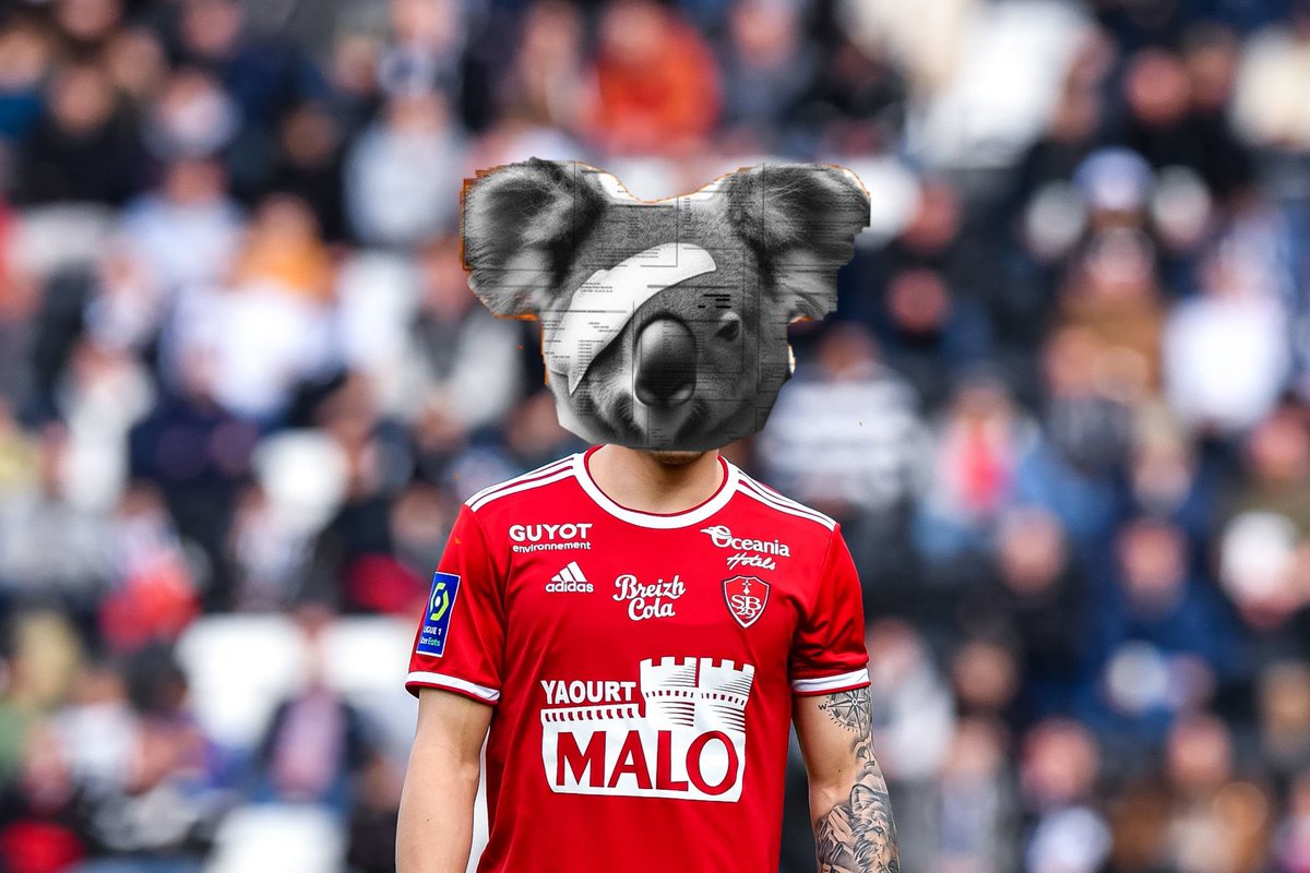 Brico GP tweet media