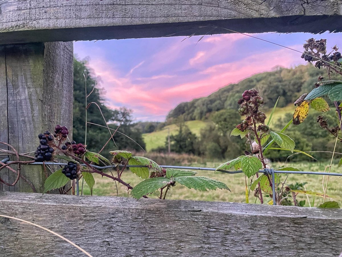 LlangunlloVill's tweet photo. @earthcurated @nev_in_color Llangunllo, Powys, mid Wales. https://t.co/Hs1ojI3YZv