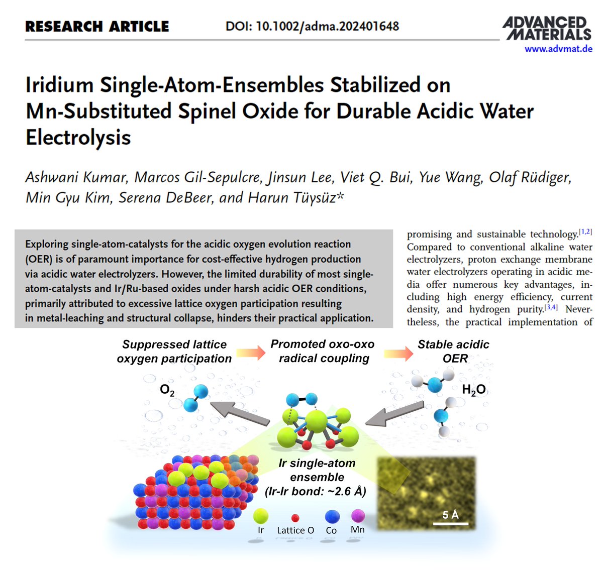 Pleased to share our latest research article just accepted in #Advanced_Materials. We designed short range Ir-ensembles as stable electrocatalyst for acidic OER. Thanks to <a href="/TuysuzLab/">Harun Tüysüz Lab - IMDEA Materials / MPI-KOFO</a> #MPI_KOFO <a href="/mpicec_press/">MPI-CEC</a> <a href="/AvHStiftung/">Humboldt-Stiftung</a> <a href="/JinsunLee11/">Jinsun Lee</a> and all co-authors.