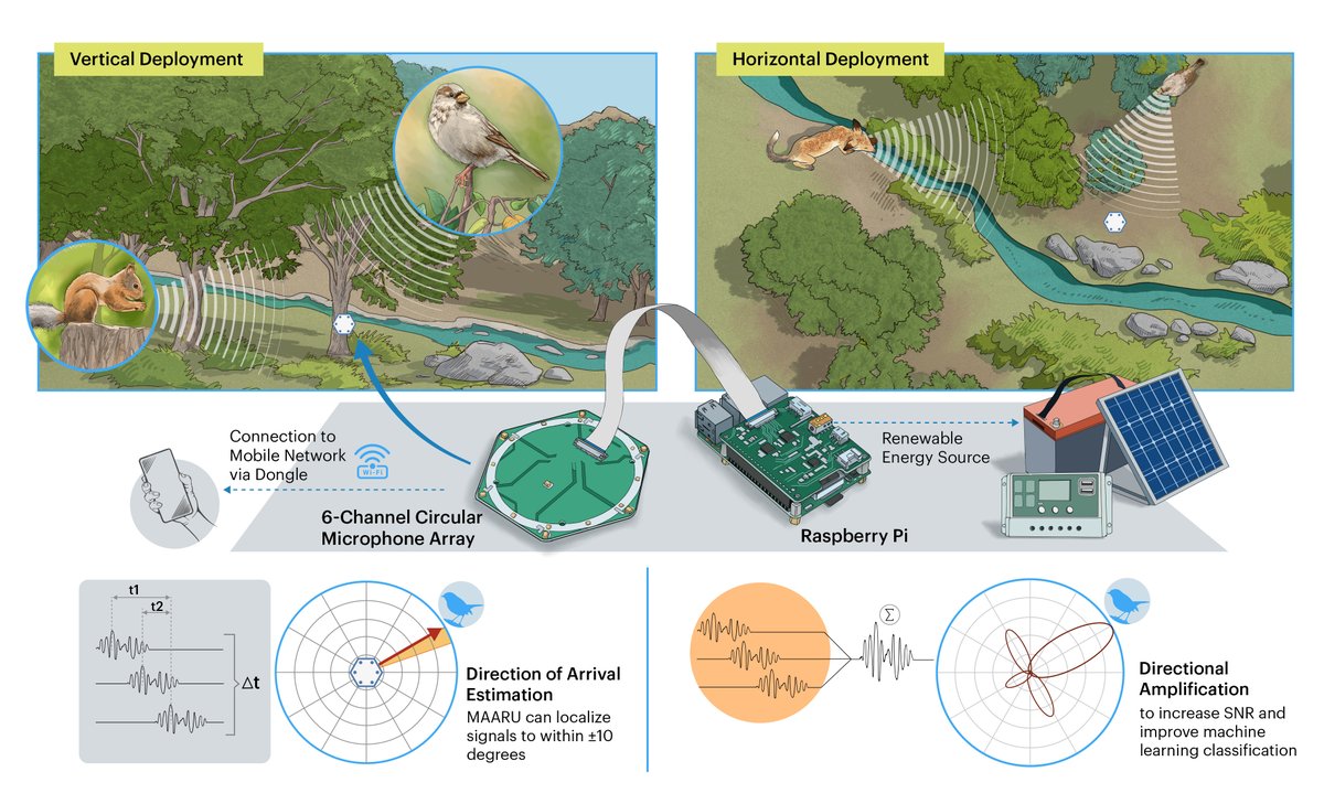 🚨 New paper 🚨 I'm very delighted to share our new paper where we appraise the state-of-the-art in spatial ecoacoustics and propose a new open-source, DIY platform for spatial ecosystem recording (MAARU) besjournals.onlinelibrary.wiley.com/doi/full/10.11…