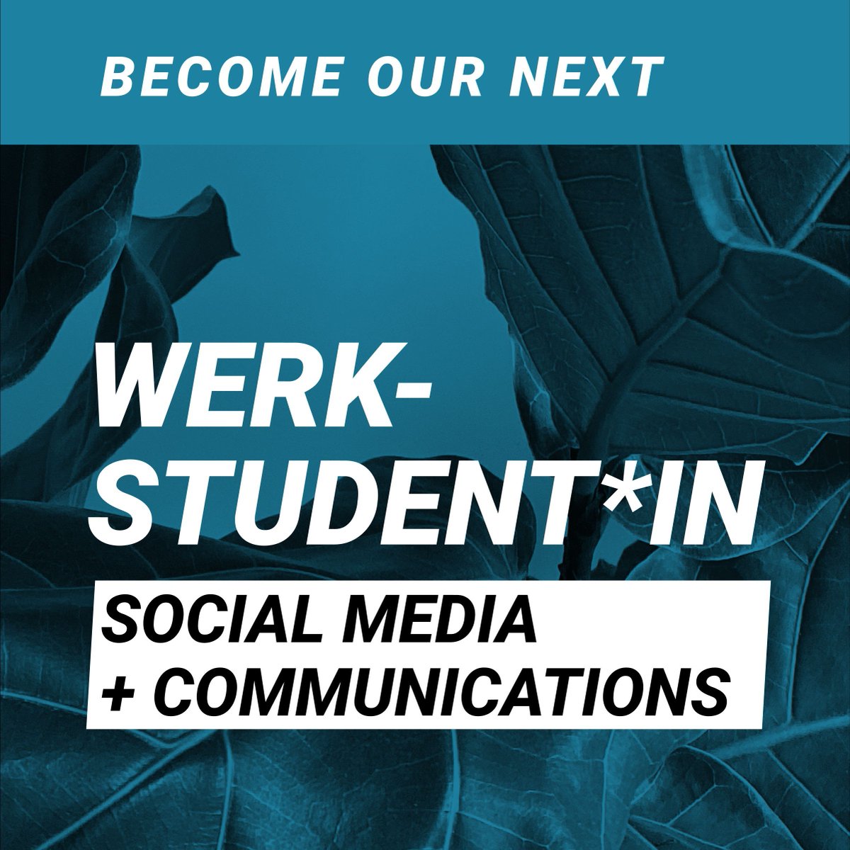 Datawrapper's tweet image. 🚨 We&apos;re looking for a Werktstudent*in (working student) to help us with social media and with our blog and website.

That&apos;s not you? Tell your student friends!