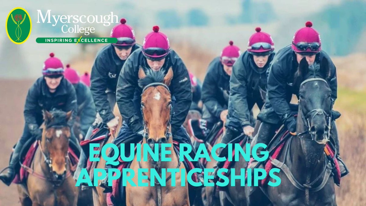My_Apprentice's tweet photo. Info on our new Equine Racing apprenticeships can be found here! 🏇🌟 
Start your journey in the exciting world of horse racing. 
Join us today! 
Info here: https://t.co/qkiP3FSokT 
#EquineRacing #Apprenticeships #equine #racing https://t.co/Y3FHqKAur7