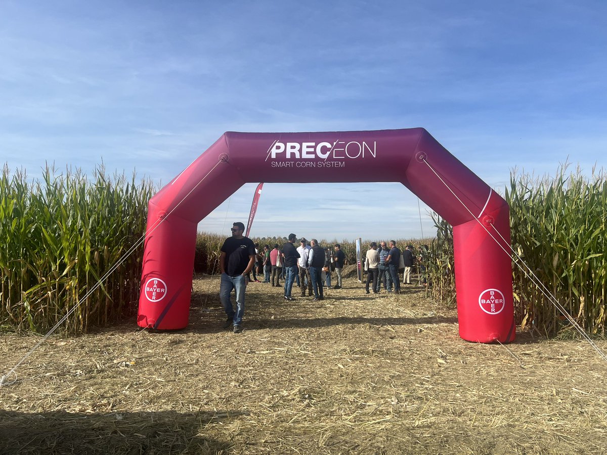 RevistaAlimenta's tweet image. Ya estamos en Almudévar (Huesca) para conocer 
¡El futuro del maíz! 
@Bayer4CropsES presenta su nueva propuesta

🌽 #PRECEON 
Revoluciona el cultivo del #maíz