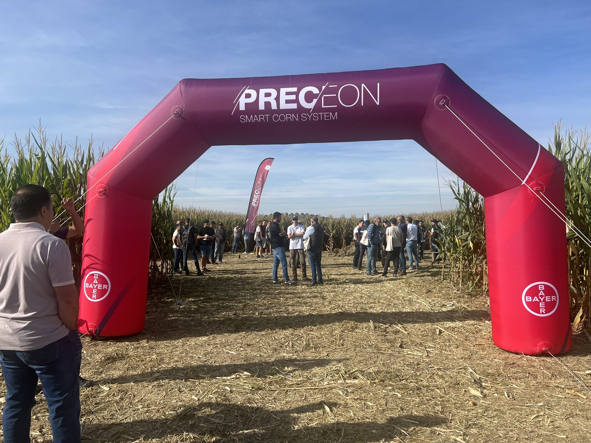 RevistaAlimenta's tweet image. Ya estamos en Almudévar (Huesca) para conocer 
¡El futuro del maíz! 
@Bayer4CropsES presenta su nueva propuesta

🌽 #PRECEON 
Revoluciona el cultivo del #maíz