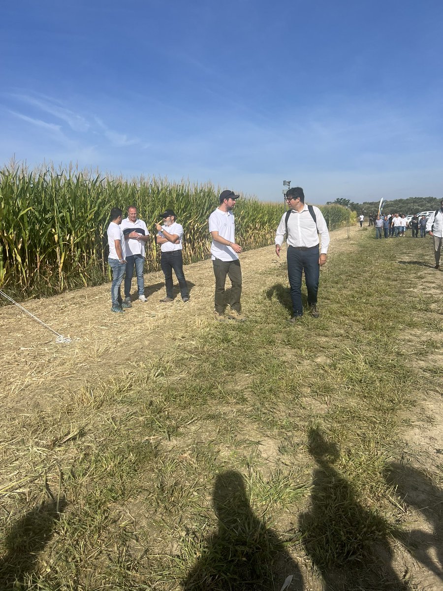 Revista Alimentaria (@revistaalimenta) on Twitter photo Ya estamos en Almudévar (Huesca) para conocer
¡El futuro del maíz!
<a href="/Bayer4CropsES/">Bayer Crop Science España</a> presenta su nueva propuesta
🌽 #PRECEON
Revoluciona el cultivo del #maíz Ya estamos en Almudévar (Huesca) para conocer
¡El futuro del maíz!
<a href="/Bayer4CropsES/">Bayer Crop Science España</a> presenta su nueva propuesta
🌽 #PRECEON
Revoluciona el cultivo del #maíz