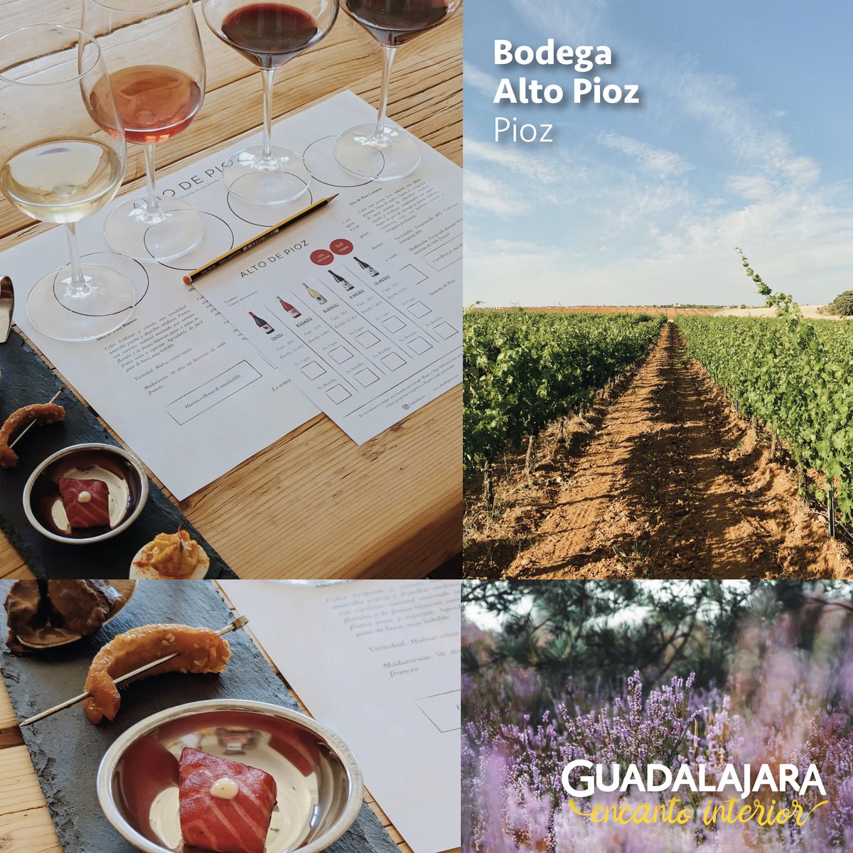 turismoengu's tweet image. 🍇 El enoturismo es una manera distinta de conocer el territorio, de adentrarse en la gastronomía local y de disfrutar en boca los matices de la naturaleza. 

🍷Os proponemos tres bodegas que ofrecen propuestas de visita en Sierra Norte y La Alcarria:
turismoenguadalajara.es/reportajes/eno…