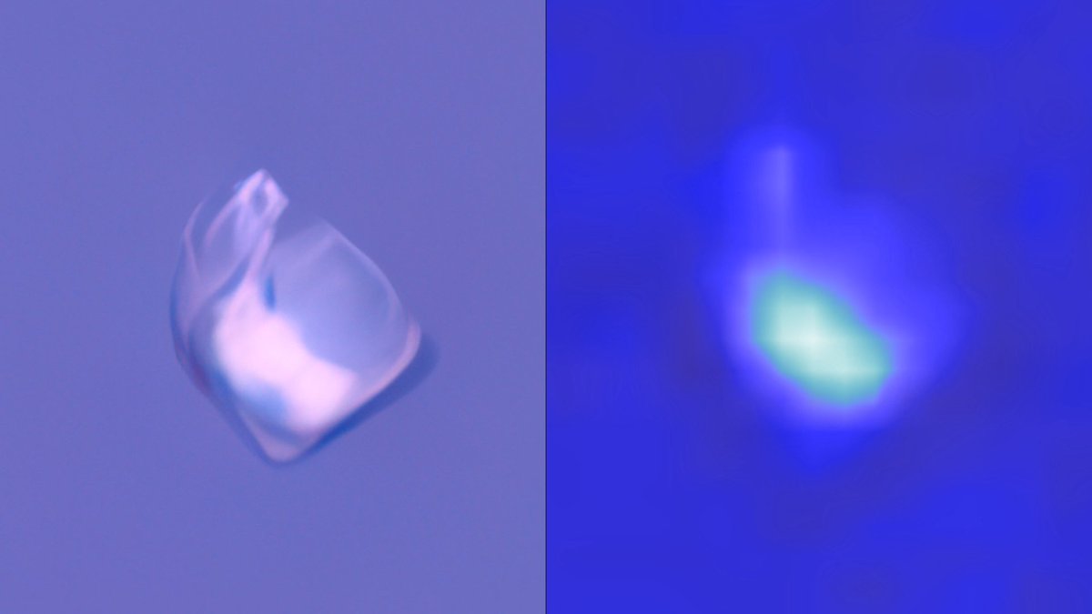 Hola , para probar que lo que os muestro esta muy cerca de la realidad ( ampliaciones con Topaz iA ,eliminar ruido desenfoque y definir contornos ) os muestro esto ..... tratada iA y tratada con filtros clasicos Filmorama , saludos