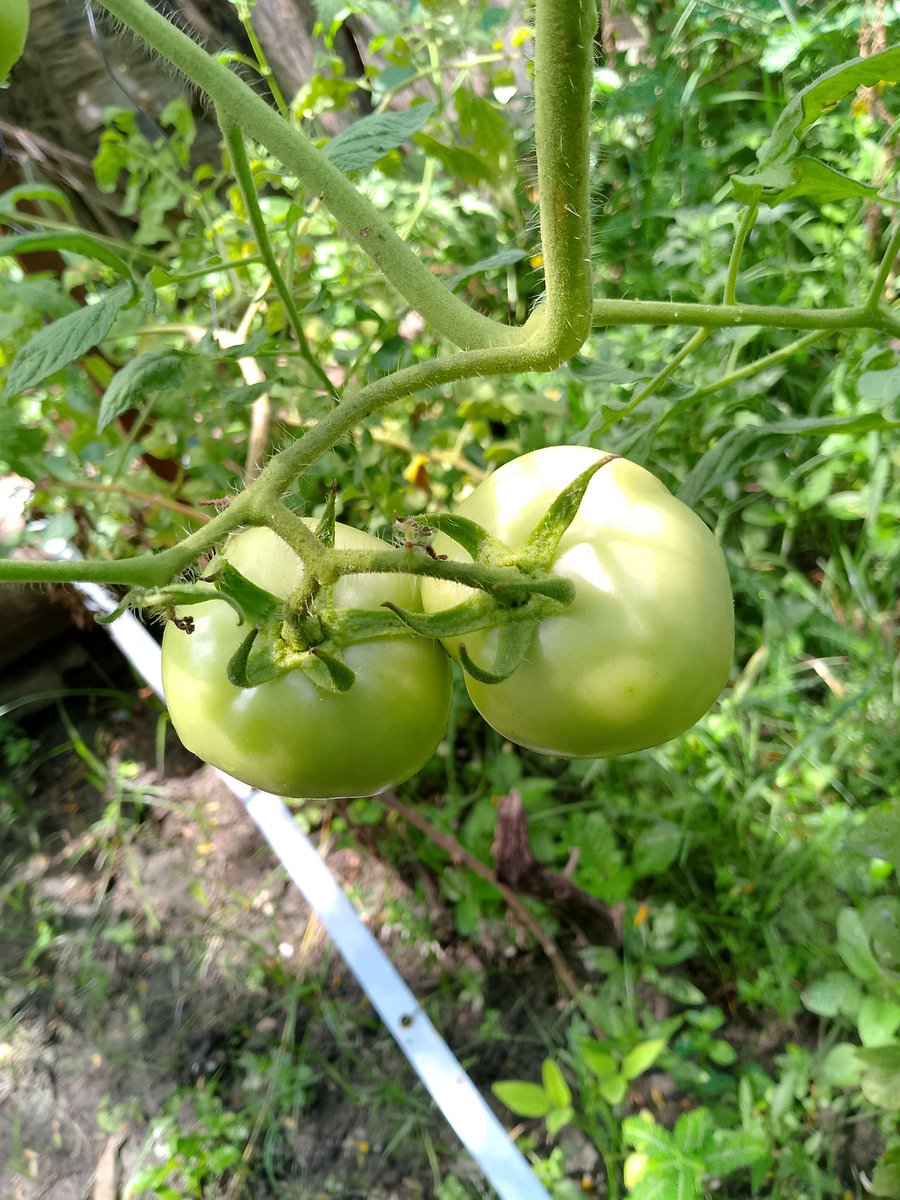 Cuando estamos en el camino correcto todo fluye.

#BuenosDías 
#FelizMiércoles