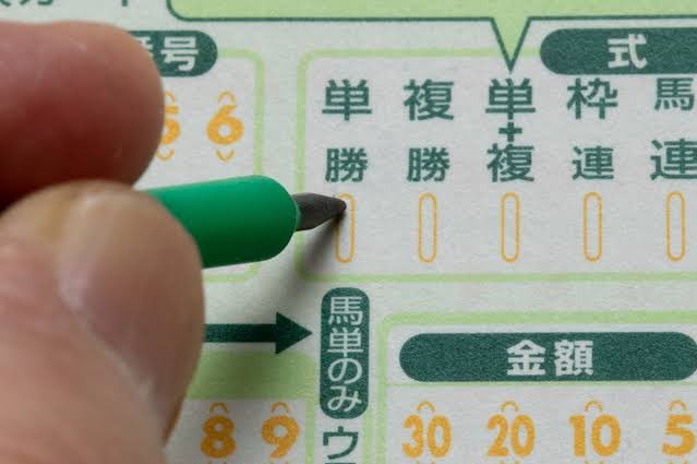 うま助🐴 tweet media