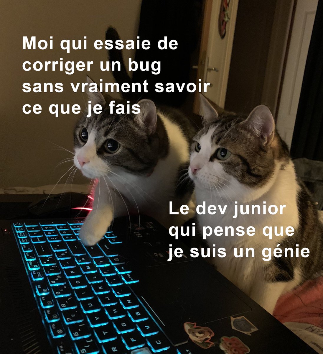 Ah ben voilà non mais ouais c'est ça attends j'ai compris t'inquiète fais voir