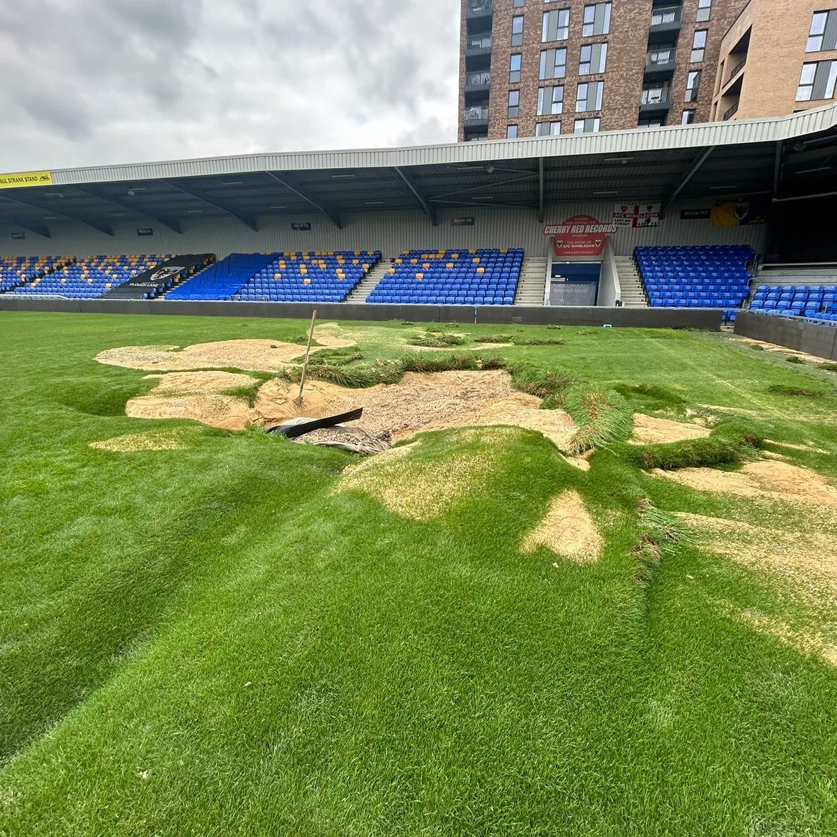👏🏼 Newcastle bem.

Devido às fortes chuvadas que danificaram as instalações do Wimbledon FC, o clube foi obrigado a adiar o jogo e a pedir doações. É aqui que entra o "adversário”, não só doou 15.000£ como ainda vão dar 45% da receita do jogo que vai acontecer no St. James Park!