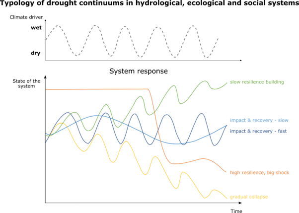 Dr. Anne Van Loon (she/her) tweet media