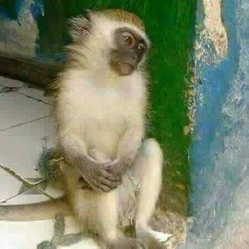 BarafuLaMawe's tweet photo. @Sirjeff_D Taifa la kusifu na kujigaragaza... https://t.co/6UJugON30l