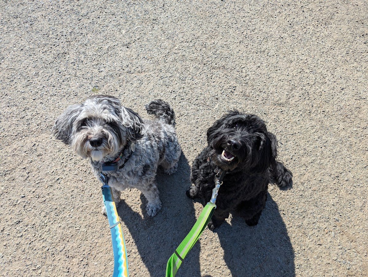 Tim Monks (@itsmonktastic) on Twitter photo 