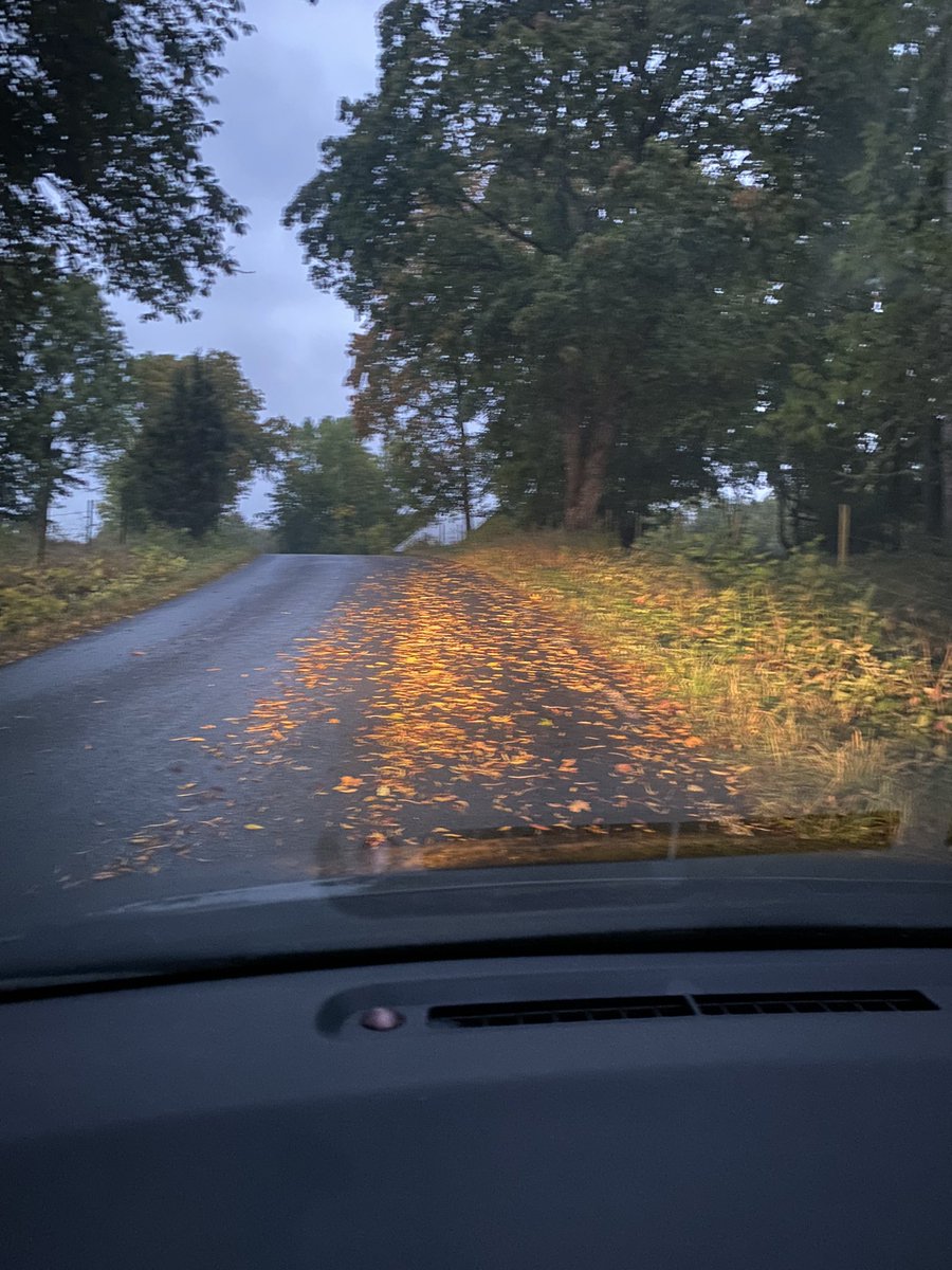 Swedish_martijn's tweet image. Vandaag wat later op het werk vanwege blaadjes op de weg 🙈😂 #ns #blaadjes #spoor