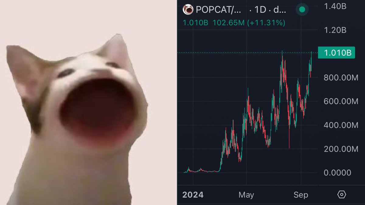 AgentPrinceps's tweet image. Just saw a rich cat.

Sometimes i envy cats.

Just chilling in the sun , legs streched out with not a care in the world.

Answering to their own body and pumping humans bags. 

Cats are the biggest wealth contributors.

Give everything and take nothing.

Haven't slept like a cat…