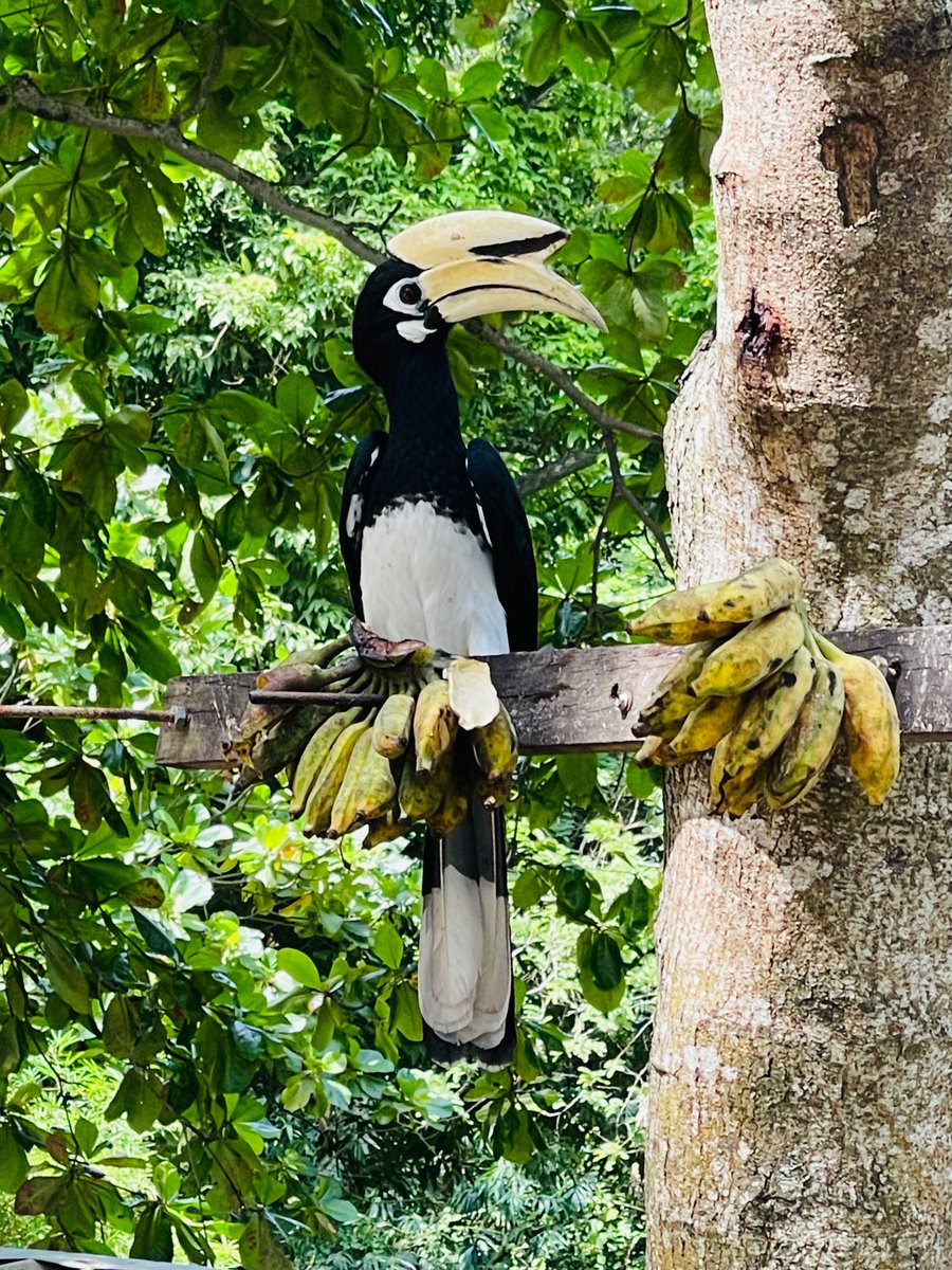 帕默 （🐚 tweet media