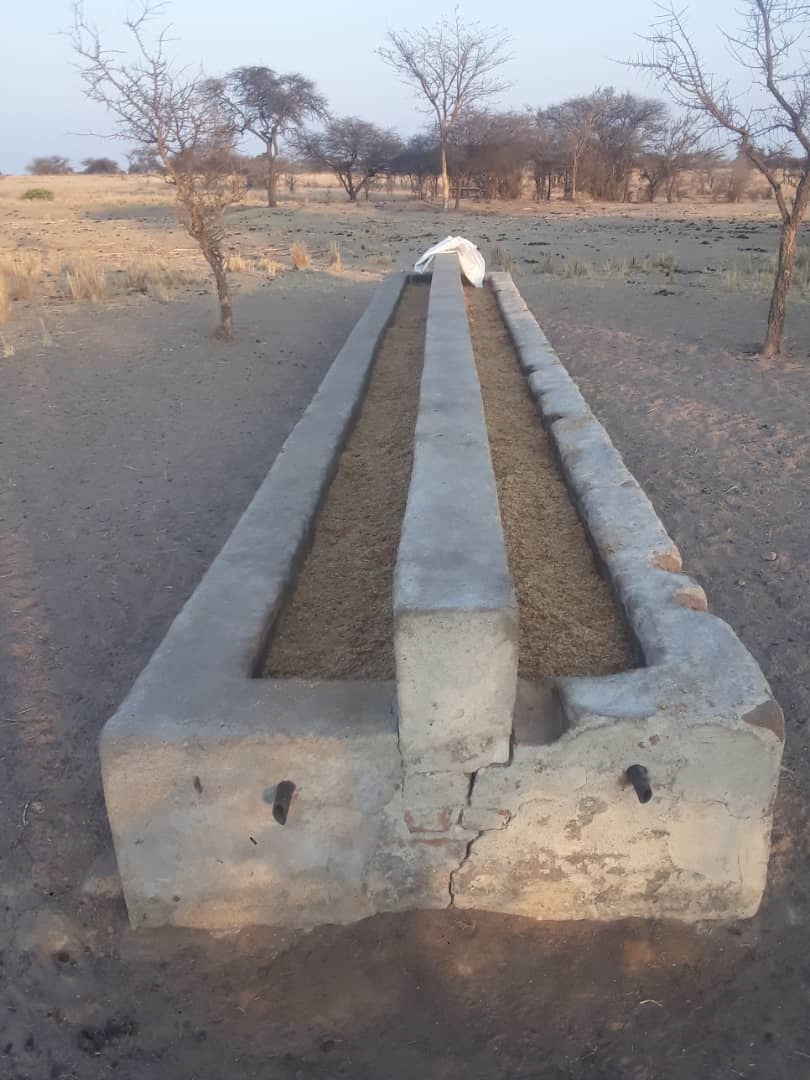 FreshDaramombe's tweet photo. Farming is for the stubborn. 
We have to push through October and early November in Zimbabwe. 

Cattle Country - Chivhu https://t.co/28faMl3zOT