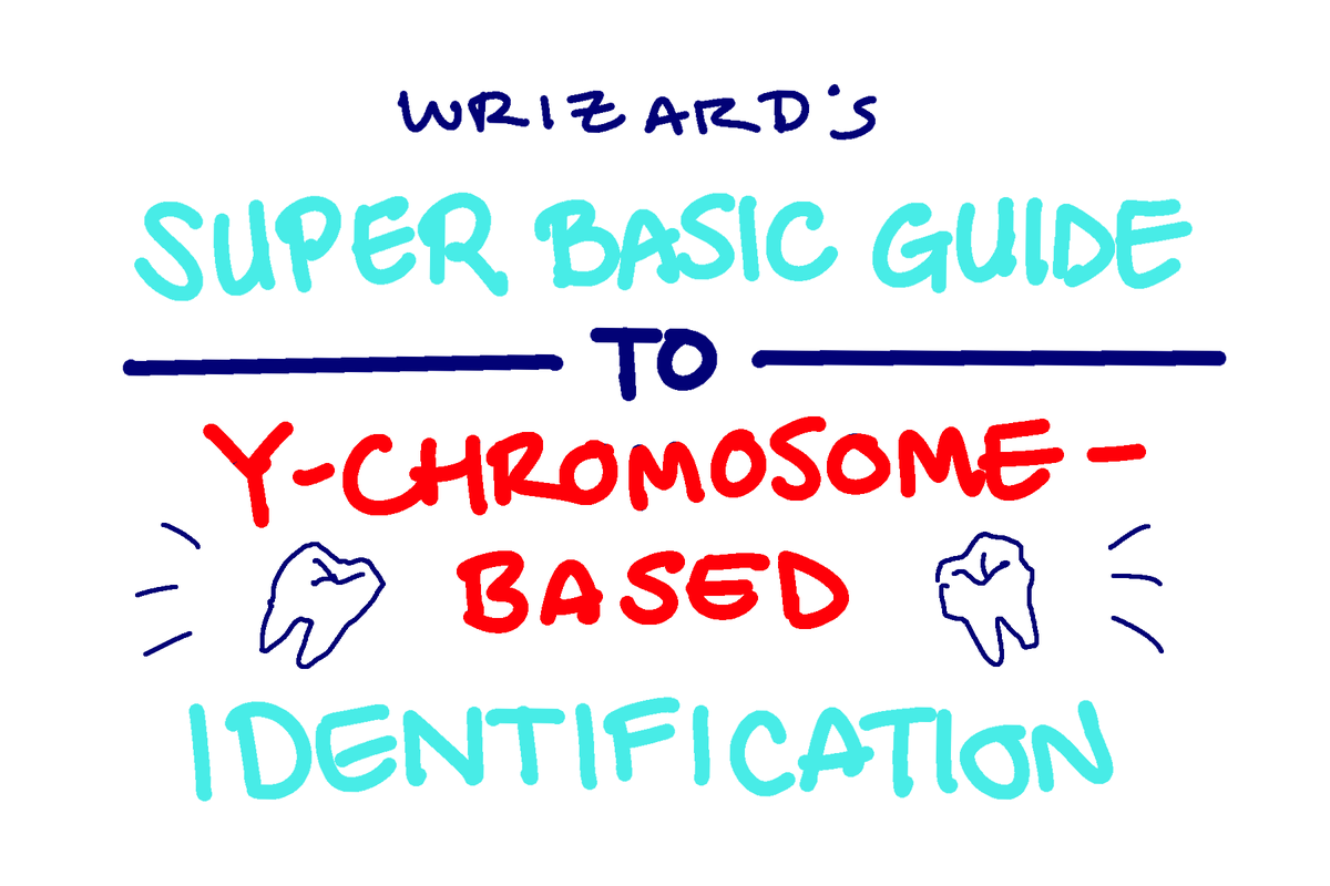 for those interested, on this fitzcovery day: 
as usual, i got overexcited and wrote a THING with GOOFY IMAGES. it has been many years since my last bio class and this is VERY OVERSIMPLIFIED. regardless: here's WRIZARD'S SUPER BASIC GUIDE TO Y-CHROMOSOME-BASED IDENTIFICATION