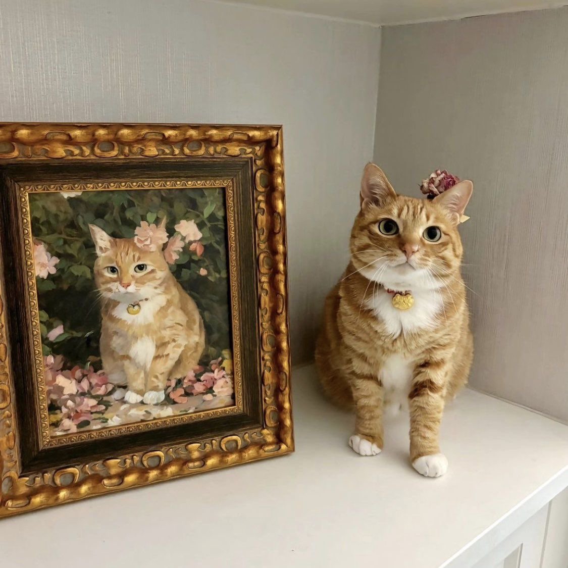 all cats deserve a self portrait