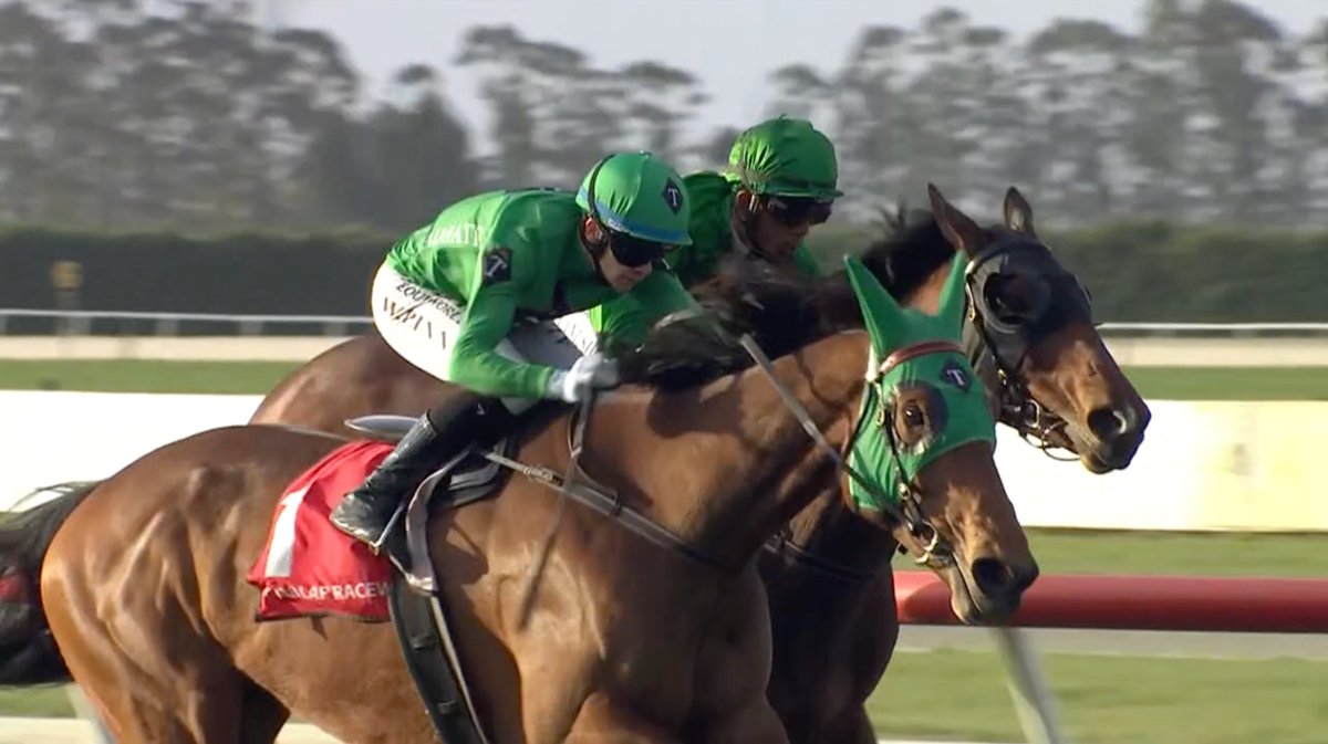 CarstonRacing's tweet photo. 💚Taimate Diva took out the last at Phar Lap Raceway.
Congratulations to her owner/breeders Taimate Equine and our thanks to Wiremu Pine for the winning ride.
Catch the replay here: https://t.co/YzpmYQ6jJJ https://t.co/2xoeRjDaLV