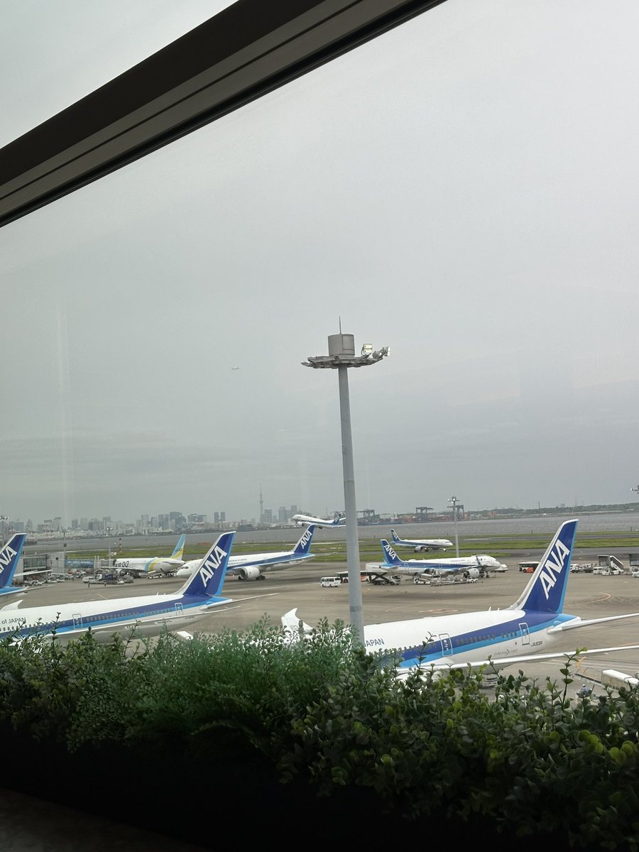 tripplan3's tweet image. 東京はかなり涼しくなりました。

ANA SUITE LOUNGE へお邪魔しました。

国内線なのに炭水化物を摂取できるのは本当にありがたい。

#ANA
#SUITE LOUNGE