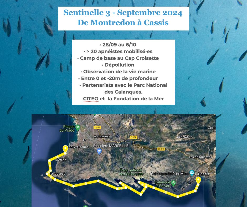 PROJET SENTINELLE MARINE, MARSEILLE À CASSIS 🌍

Derniers préparatifs pour notre projet Sentinelle (3ème édition) qui démarre ce weekend avec ,  durant 10 jours, la traversée du parc national à la nage / apnée 🤿. 

Au programme dépollutions en Mer, repérage d'espèces invasives,