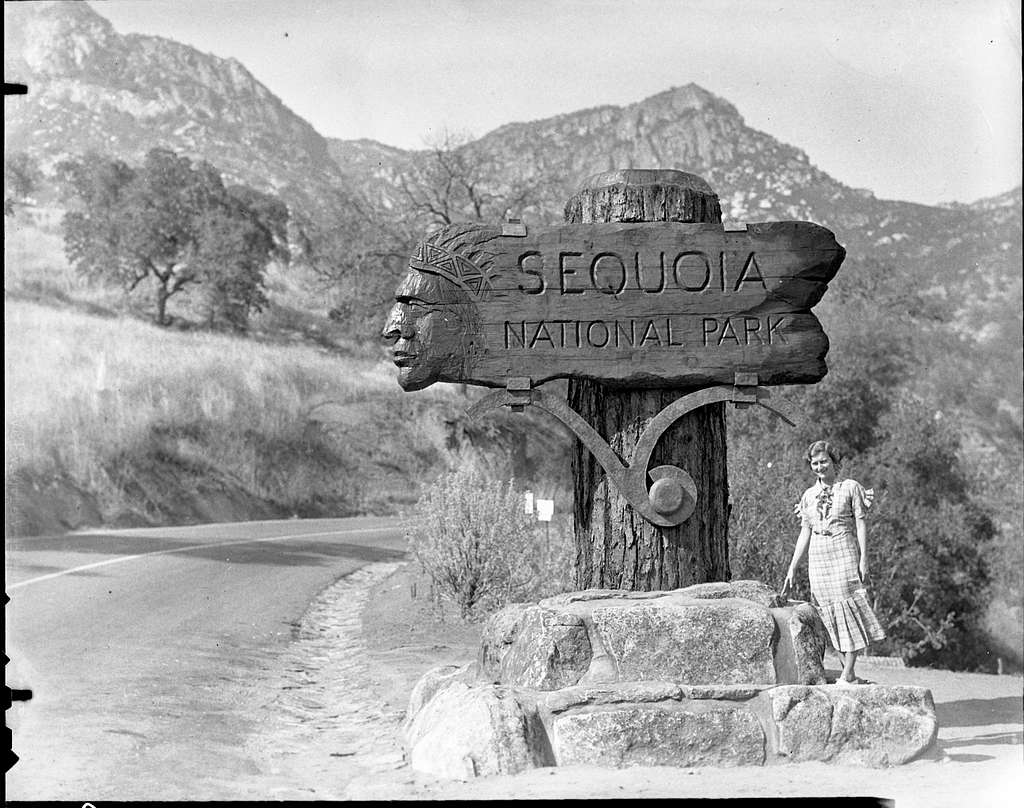 mariobianchi18's tweet photo. Il #25settembre 1890 istituito il #SequoiaPark, secondo parco nazionale degli USA dopo Yellowstone. Superficie di 1.635 km² ed ha come attrazione principale la presenza della sequoia gigante, il Generale Sherman, l'albero più grande (83 m.) e longevo (2300-2700 anni) della Terra. https://t.co/UOkn4scGIv