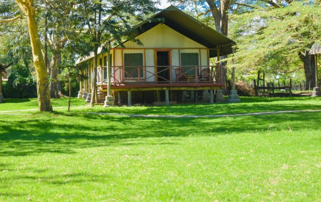 PumbaElite's tweet image. If you plan a trip to Lake Naivasha and it's environs and need a serene affordable spot for your meals, Lake Naivasha Crescent Camp is your best choice.

Contact us;
☎️ +254726519137 
📧 info@pumbaelitesafaris.com

#PumbaEliteSafaris
#RediscoverTheMagic
#MagicalKenya