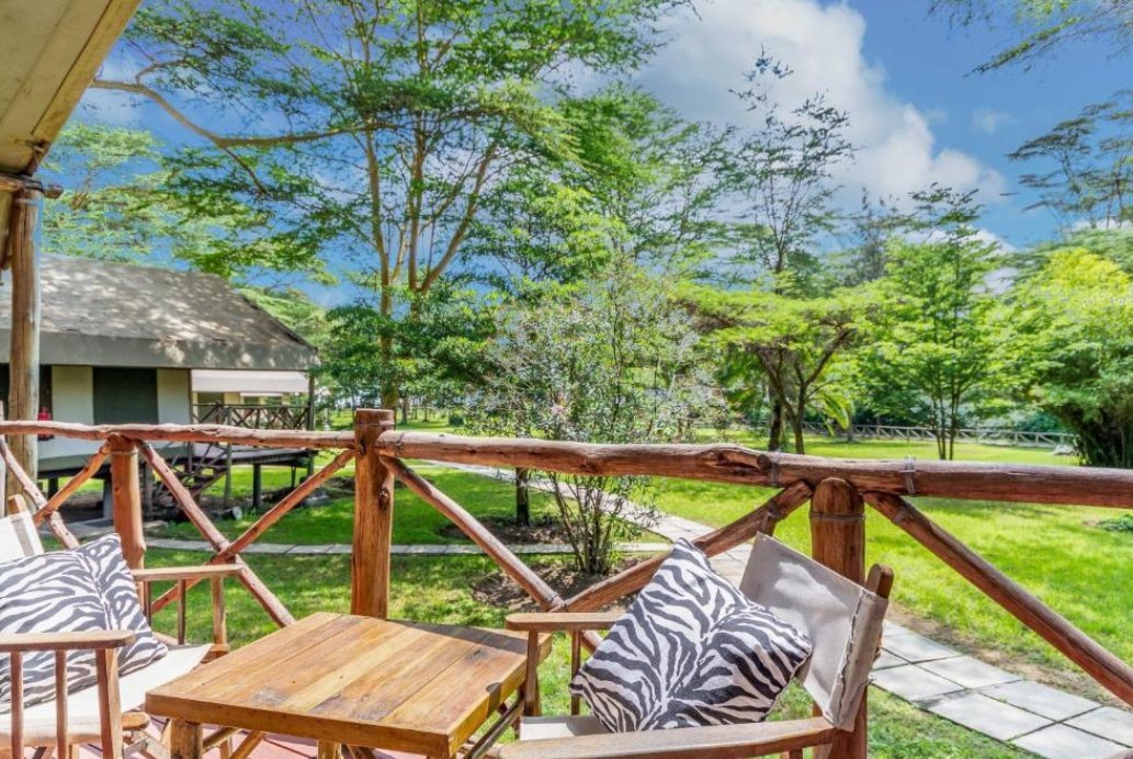 PumbaElite's tweet image. If you plan a trip to Lake Naivasha and it's environs and need a serene affordable spot for your meals, Lake Naivasha Crescent Camp is your best choice.

Contact us;
☎️ +254726519137 
📧 info@pumbaelitesafaris.com

#PumbaEliteSafaris
#RediscoverTheMagic
#MagicalKenya
