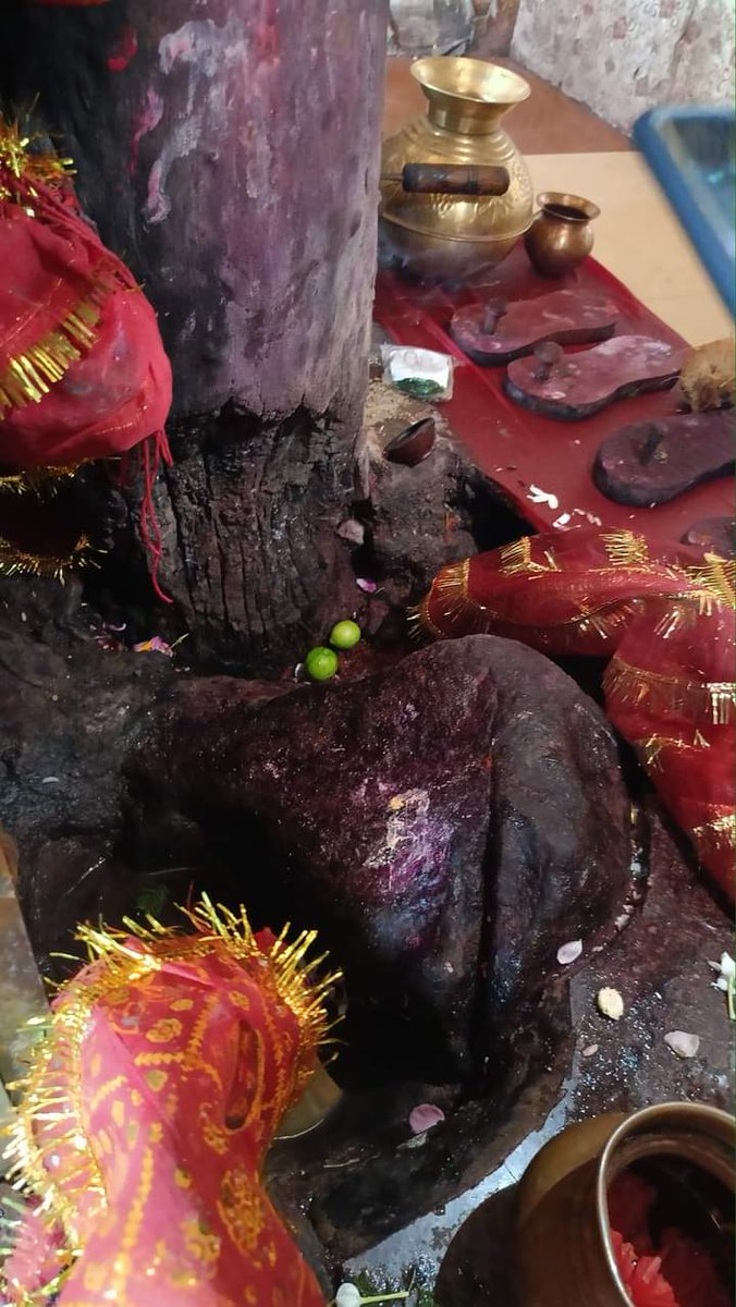 jitendra_evane's tweet photo. गोंडवाना राजवंश की कुलदेवी कंकाली दाई (चंडी माँ) ग्राम गोधना तह. चिचोली जिला बैतूल
#KankaliDai
#ChandiMaa
#Godhana
#Chicholi
#Gondwana #कंकालीदाई #चंडीमाँ #गोधना https://t.co/A3gMuYa776