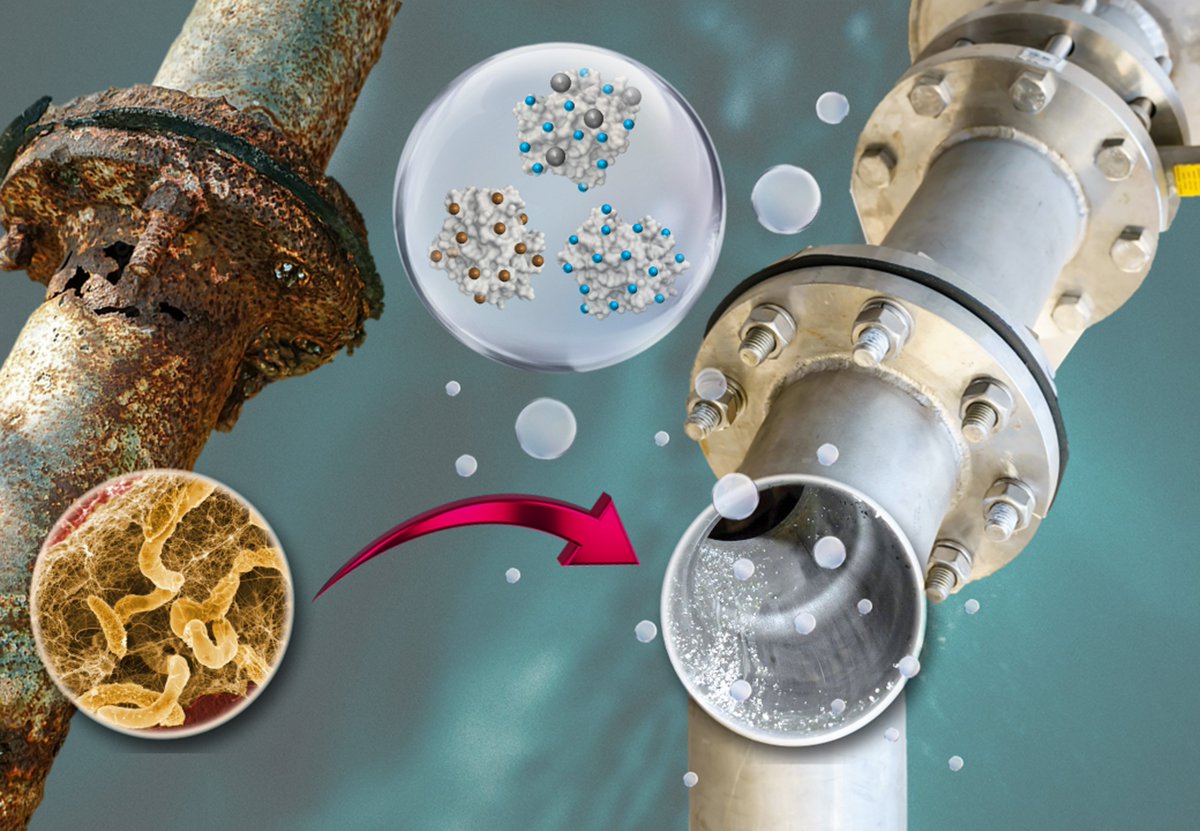 🚀 Excited to share the latest research from our journal, co-authored by one of our esteemed Editorial Board Members <a href="/JoseMPalomo1/">Jose M Palomo</a>!

Metal Bionanohybrids against Microbiologically Influenced Corrosion (MIC) Consortia
👉 mdpi.com/2924496

#nanomaterials #antimicrobial