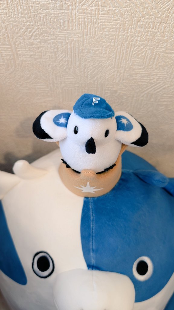 pabeq3's tweet photo. 2024.9.25
#ウシキングくじ 🐮👑 特等さんの王冠👑に住みついた
#シマエナガ さん😊😊😊

落ちないように #清宮幸太郎 さんの缶バッジで留めてみました

#シンデレラフィット でしょ(笑)
#今日の全力応援グッズ
#lovefighters https://t.co/zs4PRZN207