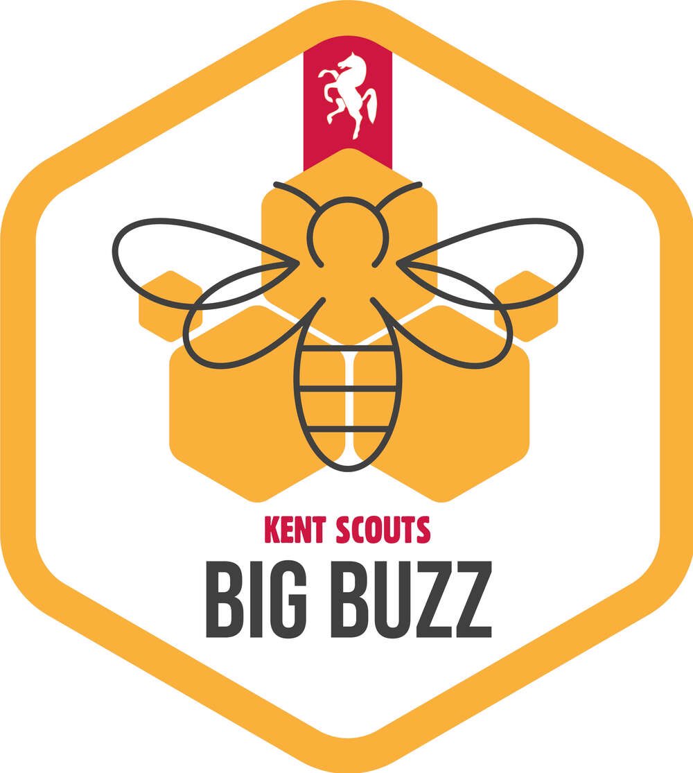 mid_bee's tweet image. 'The Big Buzz' is Kent Scouts' community impact event for October 2024, aiming to raise awareness about the importance of bees and other pollinators. 

If you are a scout leader and would like support, please contact midkentbee@yahoo.com