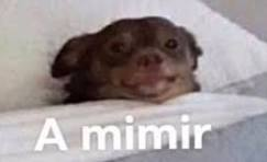 LVP LoL Norte tweet media