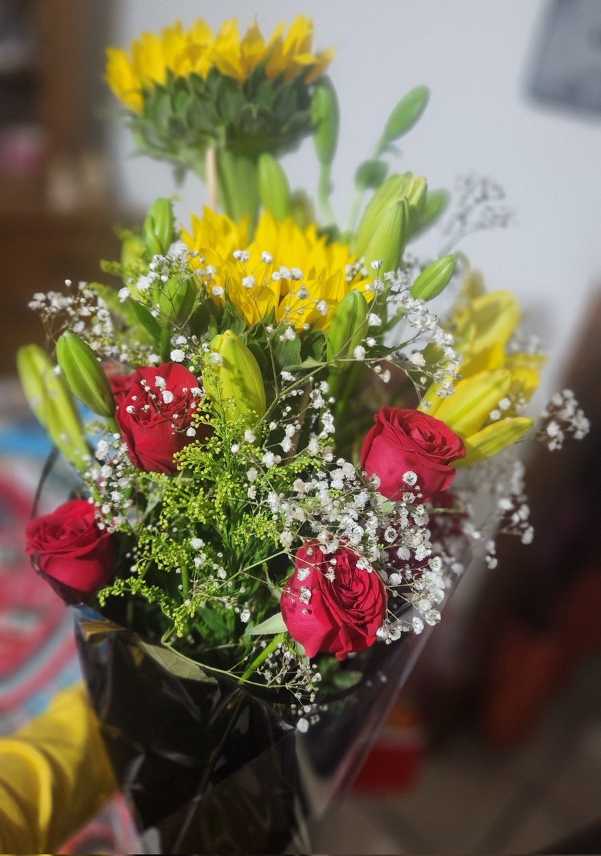 _iUnaPanda's tweet photo. El regalo ✨️ / El novio guapo que lo entregó 🥰 https://t.co/Jj9aZ0rfk6