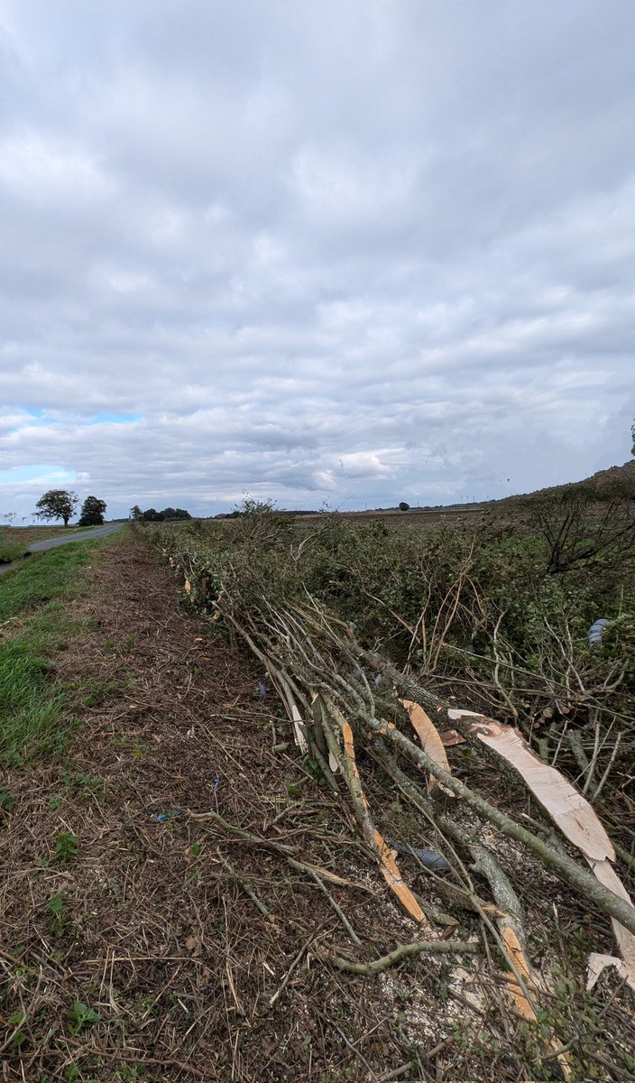 Richard Negus tweet media