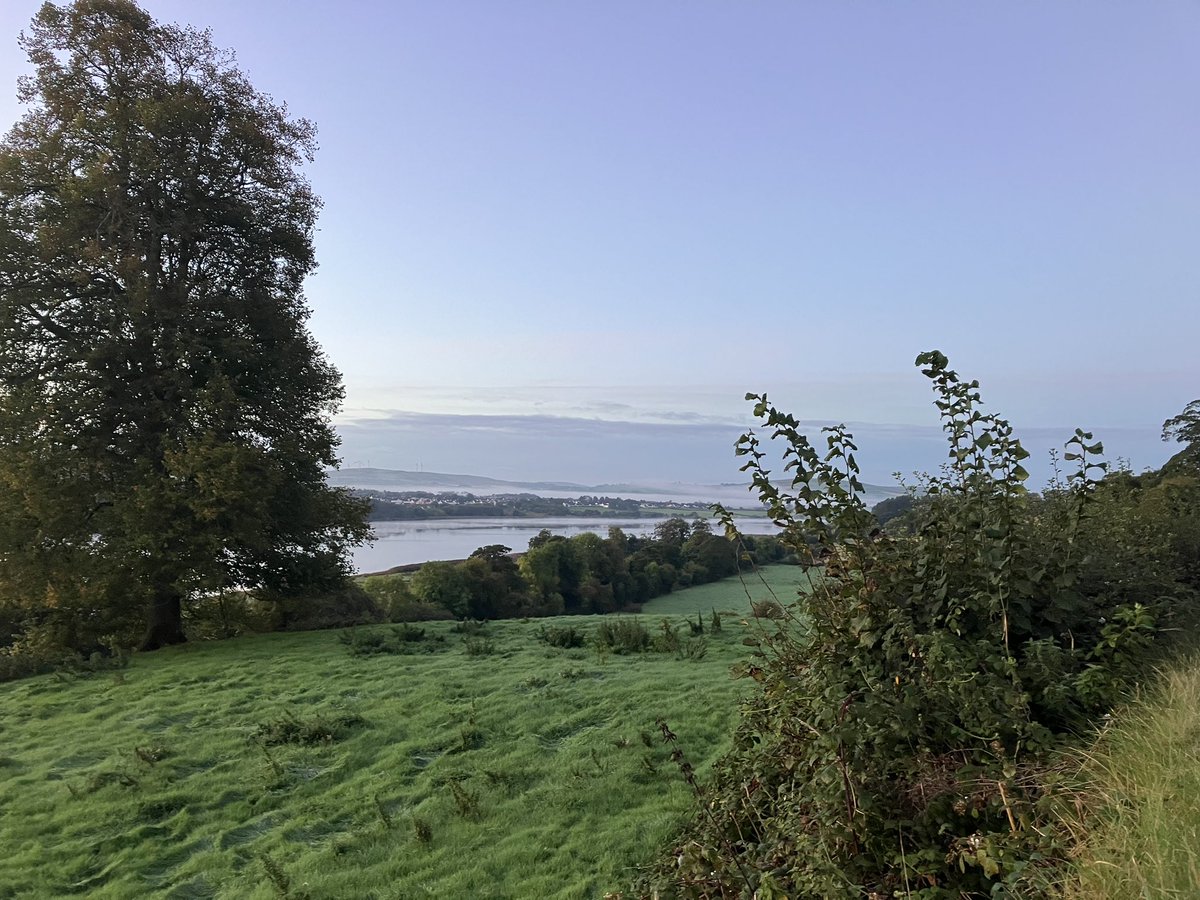 Keiron Tourish tweet media