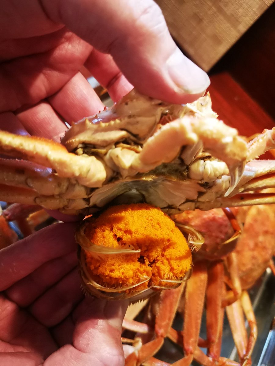 seibou0616's tweet photo. メガニ入荷しました🦀
外子もたっぷりです。
本日もよろしくお願いいたします。
#山海里清ぼう　#清ぼう
#南町通り　#仙台南町通り
#仙台海鮮　#仙台海鮮居酒屋
#仙台居酒屋　#宮城の地酒 https://t.co/H8yMuYekrc