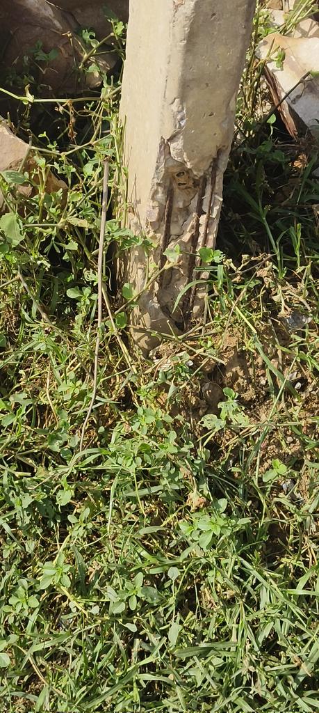 बिजली के पोल टूटने का डर पर है कभी भी बड़ा हादसा हो सकता है मैंने 181 पर शिकायत भी दर्ज करवा दी 11 सितंबर 2024 को लेकिन अभी तक कोई भी सुनवाई नहीं हुई है आखिर बड़ा हादसा हो जाएगा तो कौन रहेगा इसका जिम्मेदार 
Location