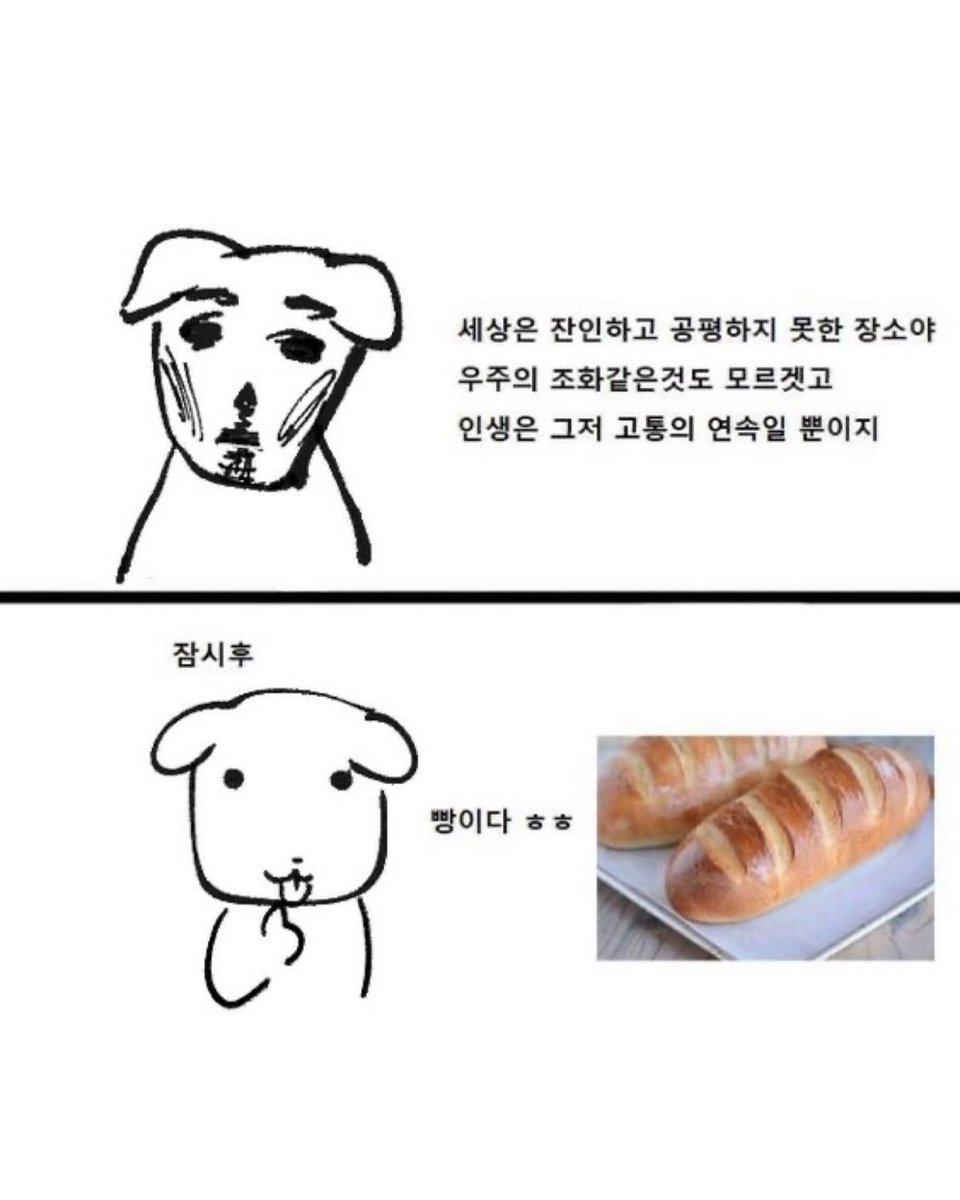 bback_it_up's tweet photo. 빵이다 ㅎㅎ https://t.co/vwqK7vNTuL