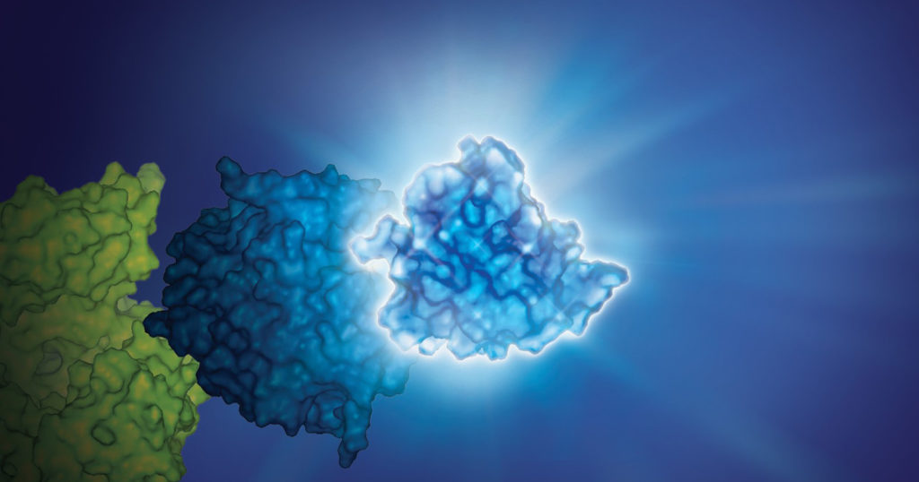 🔬 Qu'est-ce qu'une RLU ? 🌟
Les Unités de Lumière Relative (RLU) sont cruciales pour mesurer la lumière et évaluer précisément les tests biologiques.
👉 Découvrez leur impact sur vos expériences dans notre dernier article 
bit.ly/47DeWeS