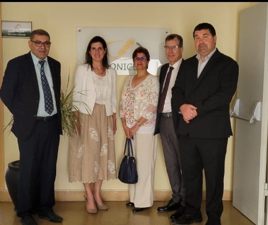 AmbCanMaroc's tweet photo. Discussions riches et passionnantes sur les dossiers agroalimentaires #blé #grain #légumineuses #embryons. La visite de @NathDoreDubai est une opportunité d’échanger avec les parties prenantes au 🇲🇦sur les priorités stratégiques de @AAC_Canada pr renforcer la collaboration🇨🇦🇲🇦 https://t.co/WQ9RlUl7bg