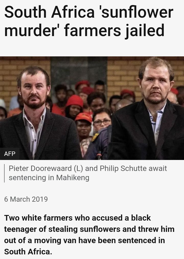 Qhawe tweet media