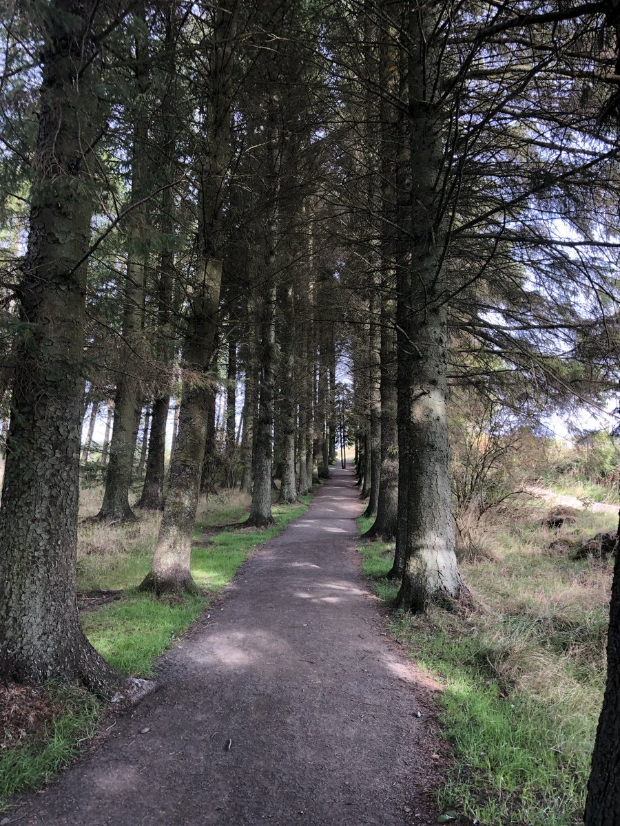 KinlochSusan's tweet image. Beecraigs country park 🌳🏴󠁧󠁢󠁳󠁣󠁴󠁿🐶#damaged #memories