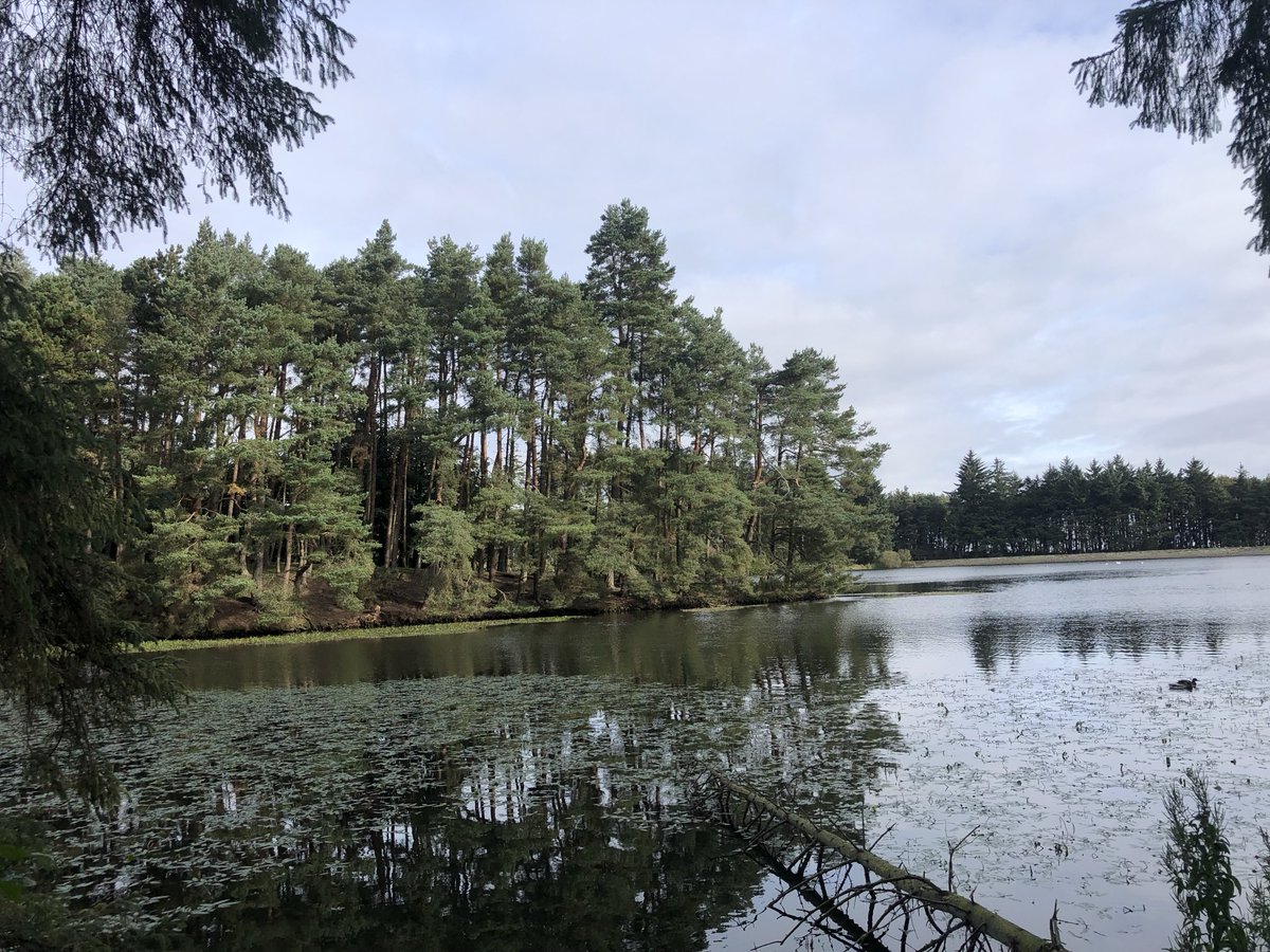 KinlochSusan's tweet image. Beecraigs country park 🌳🏴󠁧󠁢󠁳󠁣󠁴󠁿🐶#damaged #memories