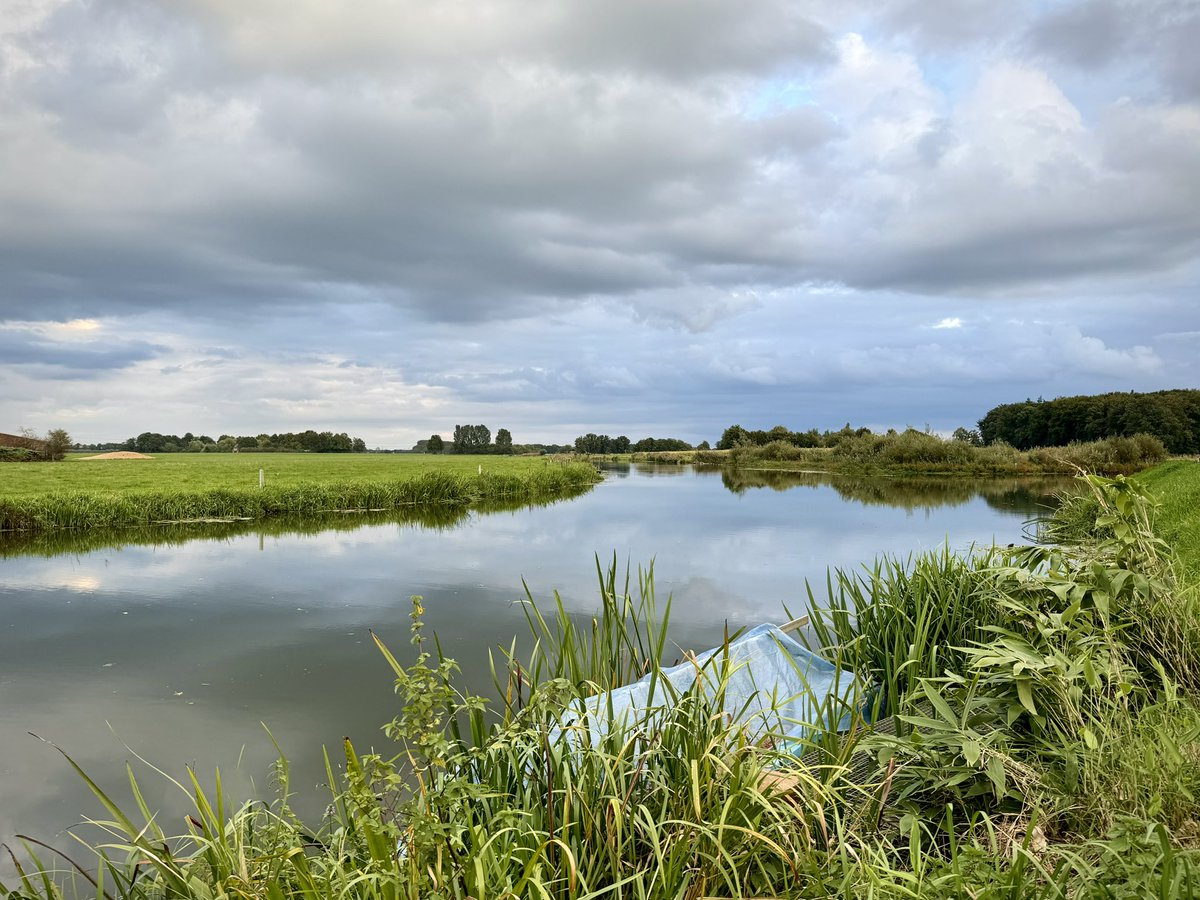 Herfstwater

Laatste ronde in het licht
Het water zwijgt 
Blad en eikels vallen
Donkere wolken schuiven
de blauwe hemel dicht
Een ijsvogeltje duikt 
in het riet van de oever
Buienalarm plonst
Ik maak me uit de voeten 
Herfst heeft me te pakken