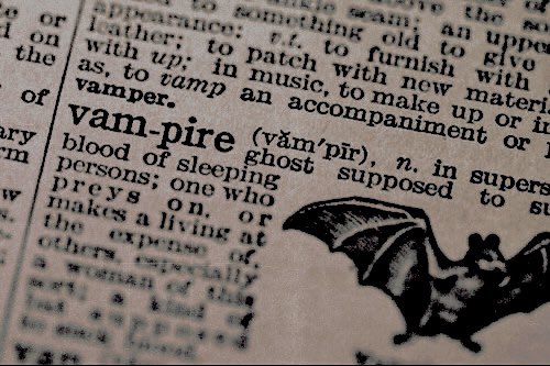 ‍ ‍𐌂ዞ𐌀𐌏𐌔. tweet media