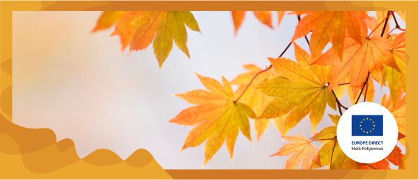 🍂 Syksyistä EU-uutiskirjettä pukkaa! 📬Käsiteltyjä aiheita:
🍂 tulevat tapahtumamme
🍂 EU-kuulumisia
🍂 paikallinen näkökulma EU-asioihin.
Lue kirje ➡️ etela-pohjanmaa.creamailer.fi/email/66e2bdea…