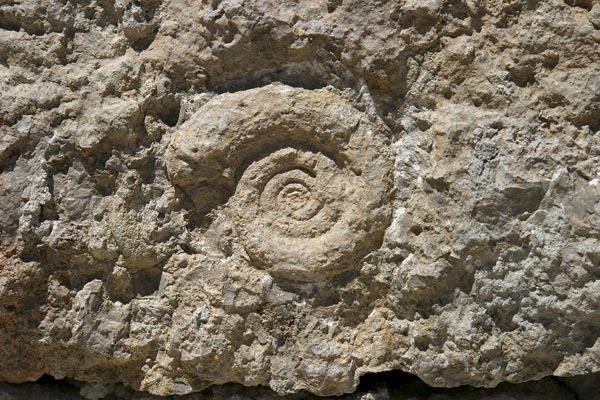 EducaUGR tweet media